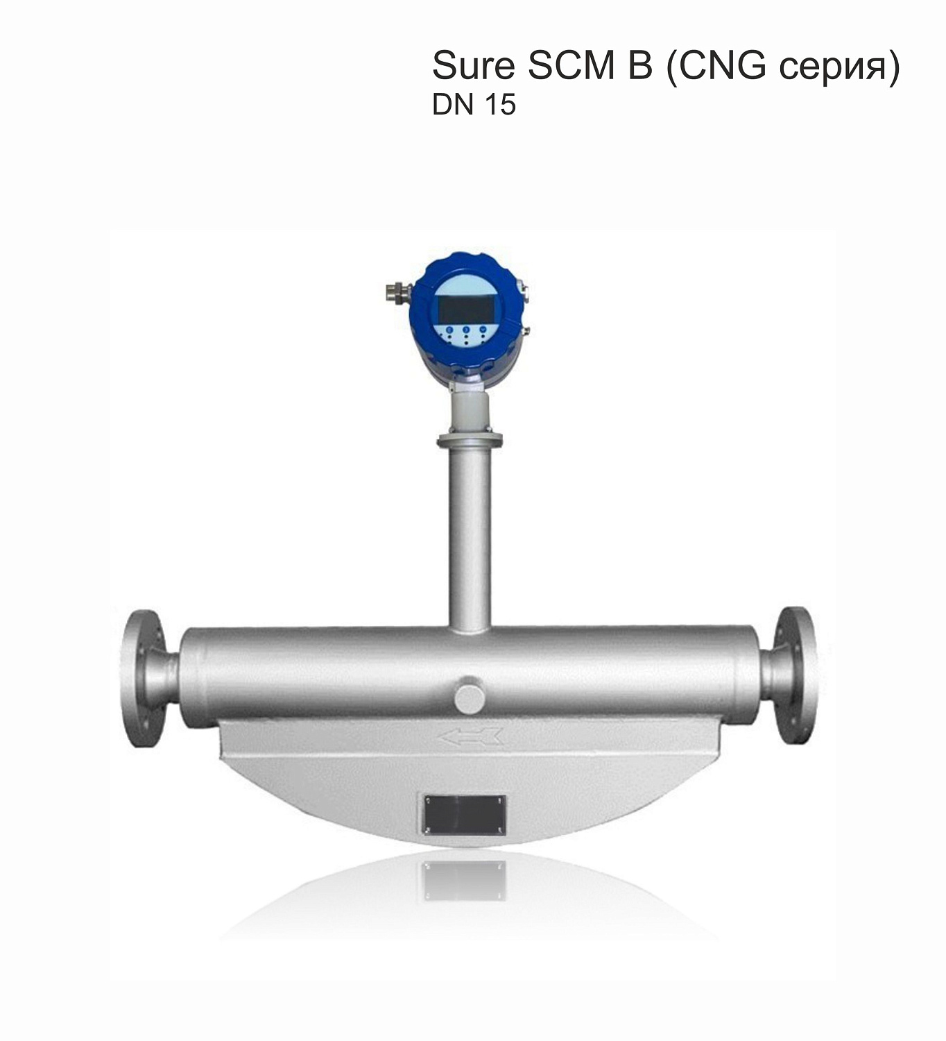 Счетчики-расходомеры массовые SURE SCM